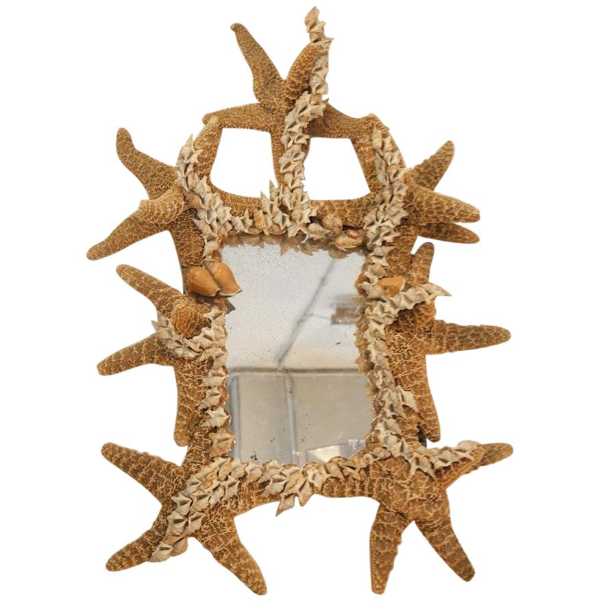 Rare and Unusual Composition, Mirror Decorated with Starfishes and Shells, 1950
