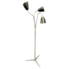 rare and unusual floor lamp by giuseppe ostuni for BAG turgi