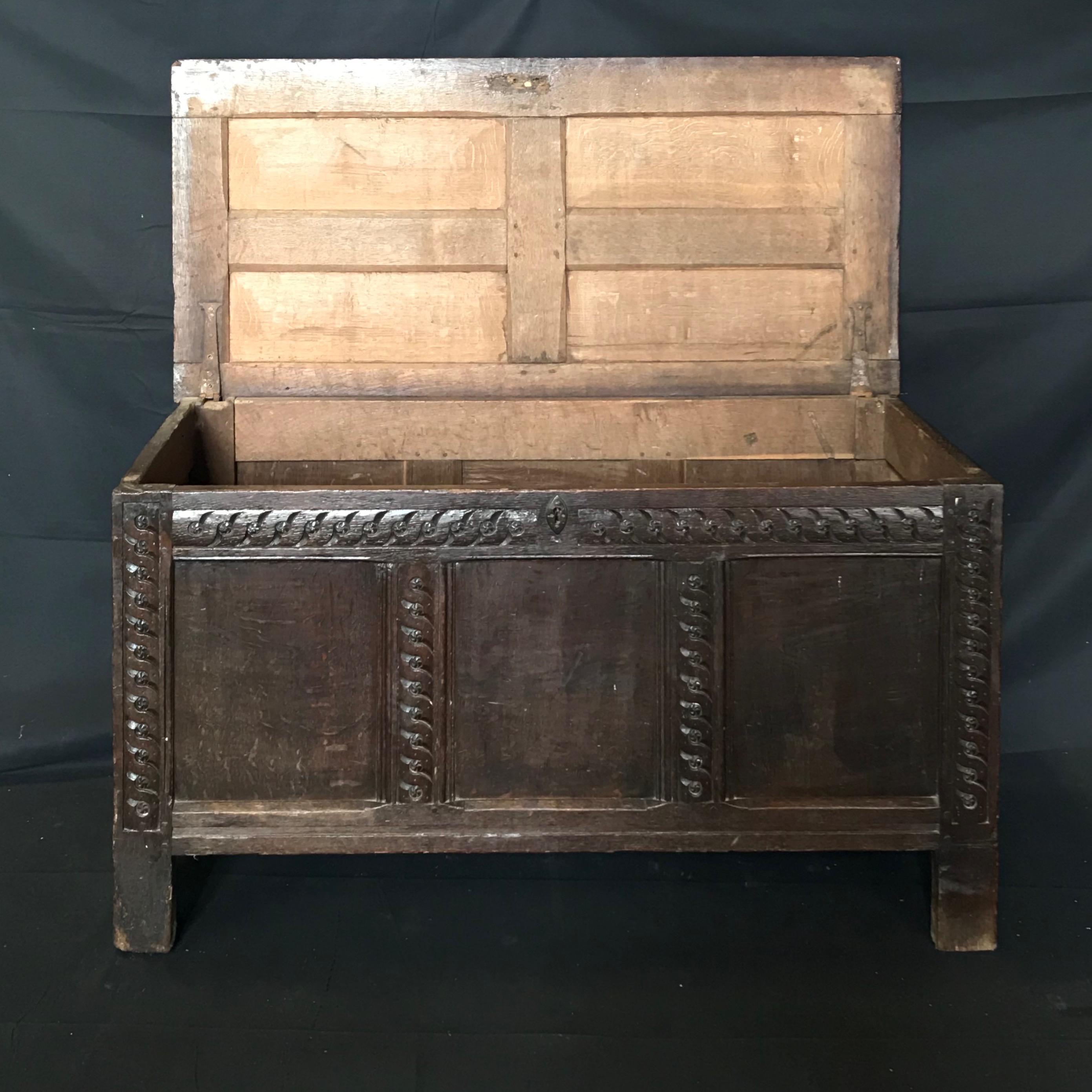 Rare Antique 18th Century Paneled and Carved Scottish Coffer Chest For Sale 8