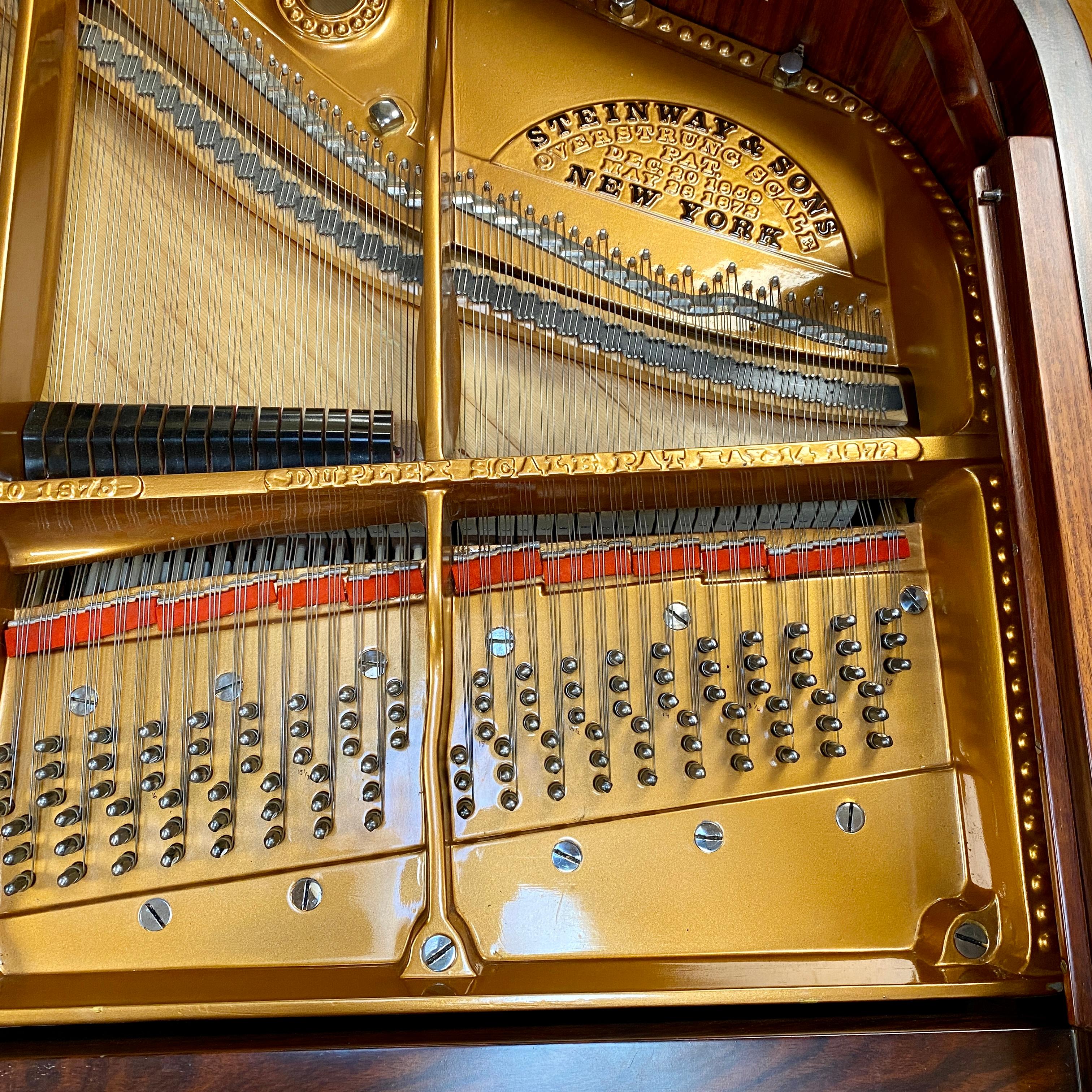 Rare Antique 1901 Steinway Model B Rosewood Grand Piano Louis XV Rococo Restored en vente 4