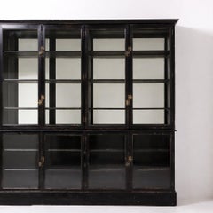 Rare Antique 19th Century Victorian Ebonized And Glazed Monumental Cabinet