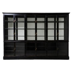 Rare Antique 19th Century Victorian Ebonized And Glazed Monumental Cabinet