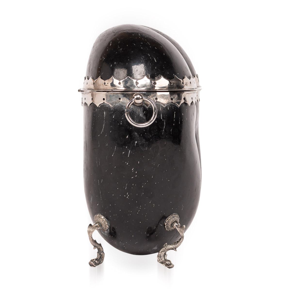 Antique 19th century Victorian rare tea caddy fashioned from a coco de mer nut with silver plated mounts. The nut itself derived from the Seychelles in the late 19th century and the silver plated mounts applied to it by a skilled silversmith in