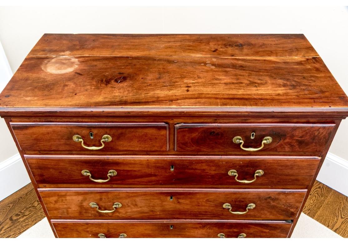 Laiton Rare coffre Chippendale américain ancien en bois de pommier en vente