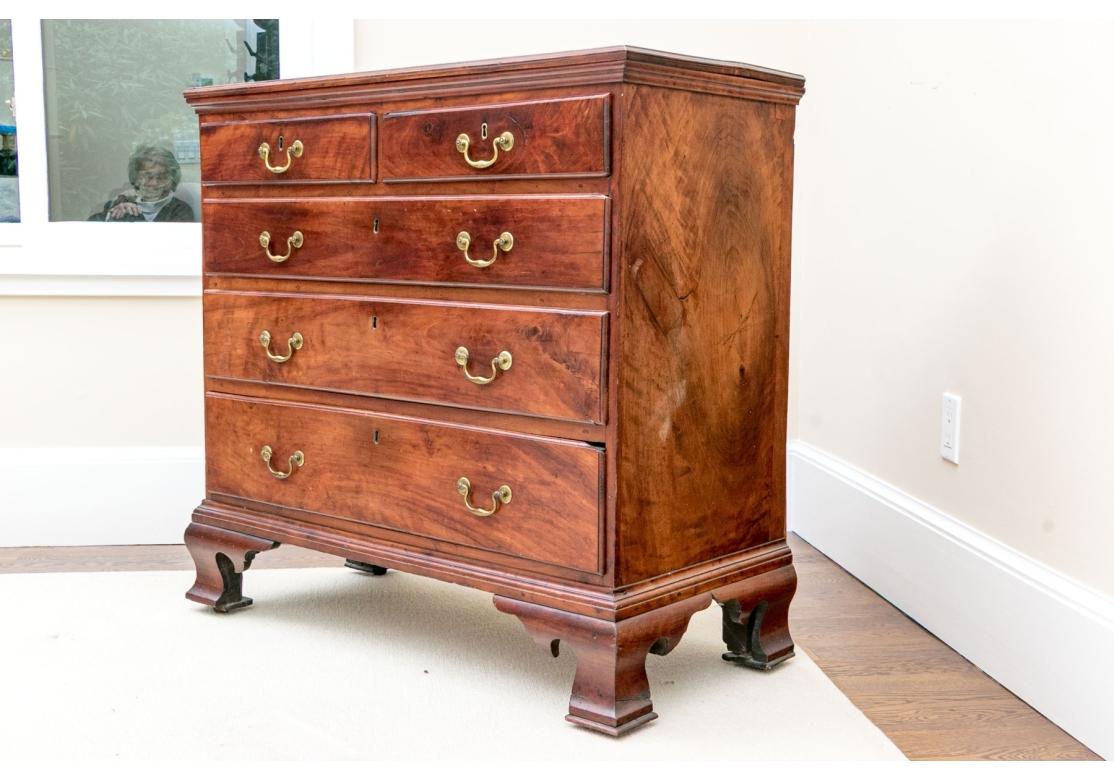 Rare coffre Chippendale américain ancien en bois de pommier en vente 2