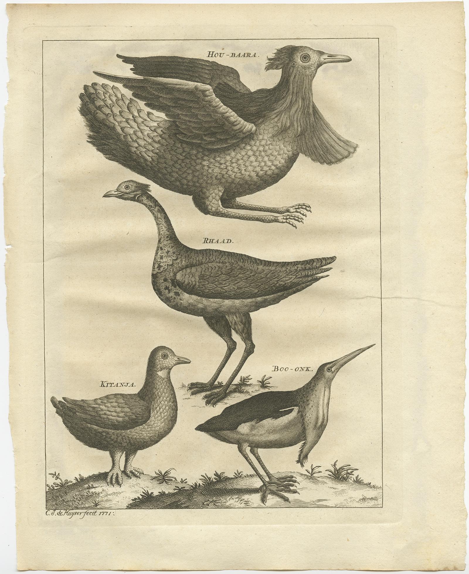 Antique print titled 'Hou-Baara, Rhaad (..)'. 

Old bird print depicting a houbara bird, the rhaad or Arabian bustard, willow ptarmigan and a long neck bird. Originates from the first Dutch editon of an interesting travel account of Northern