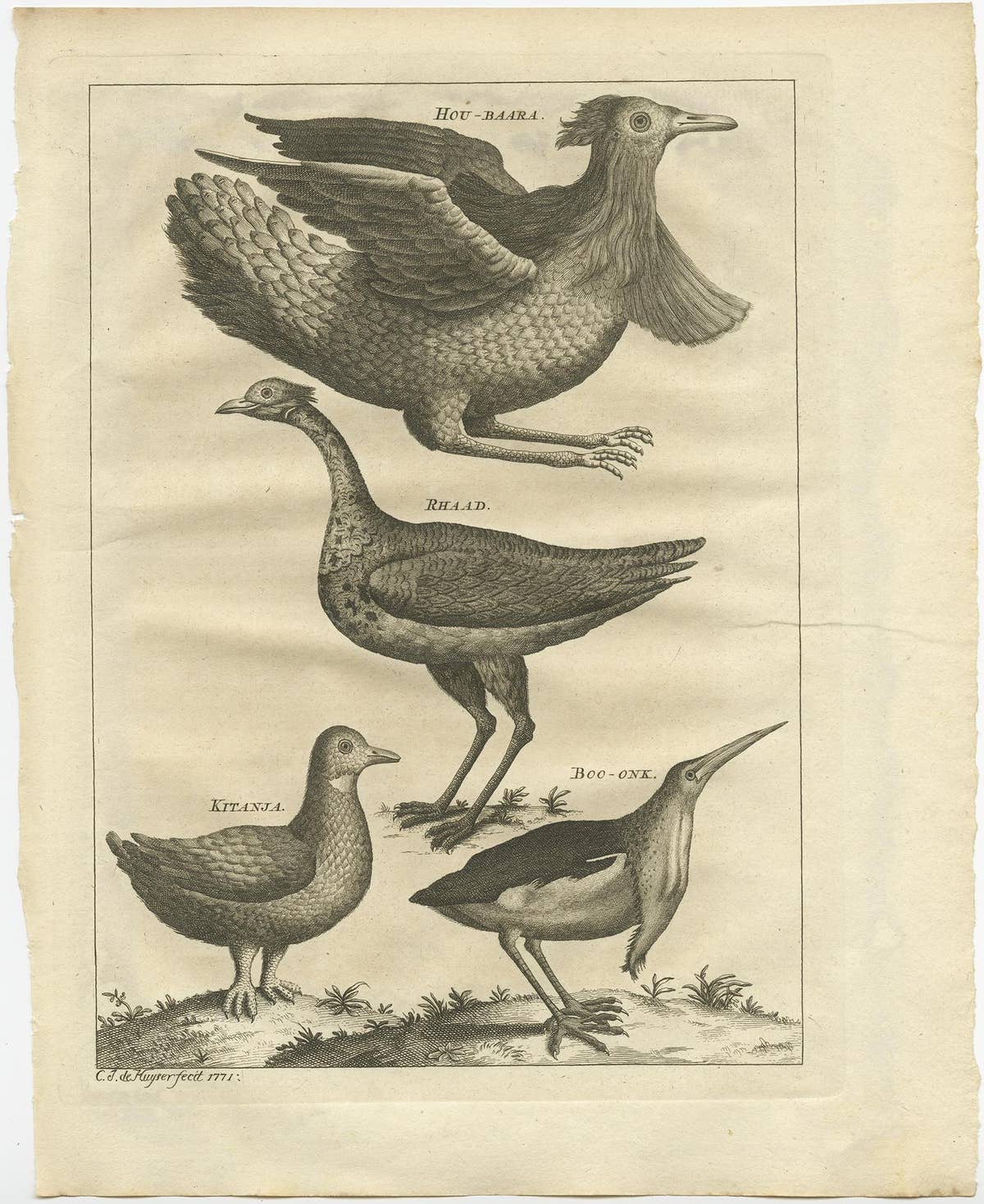 Rare Antique Bird Print of a Houbara, the Arabian Bustard and More, 1773
