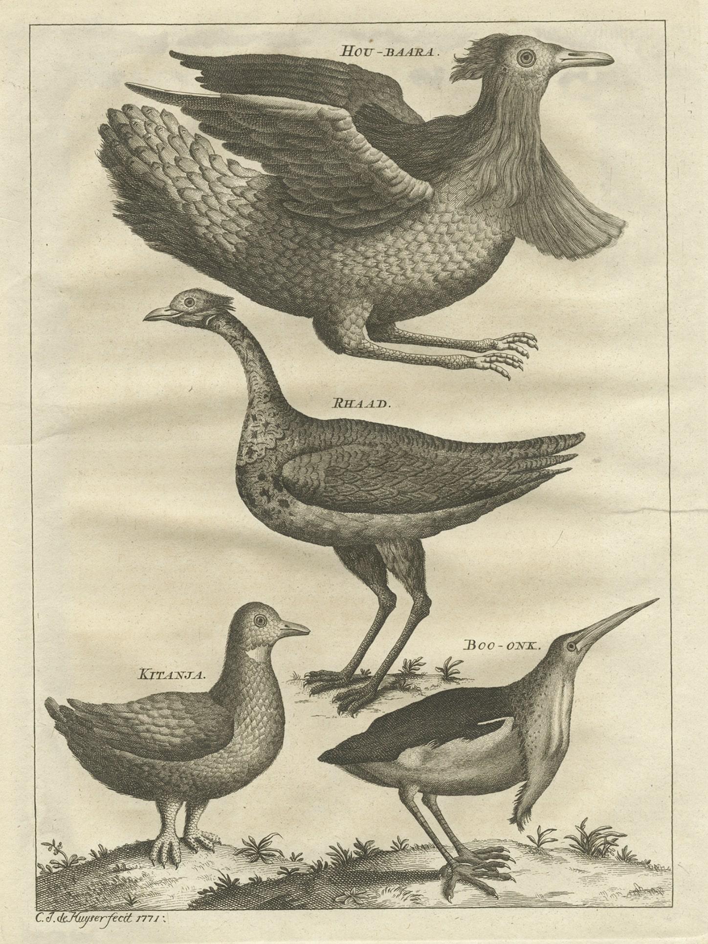 Rare Antique Bird Print of a Houbara, the Arabian Bustard and More, 1773 In Good Condition For Sale In Langweer, NL