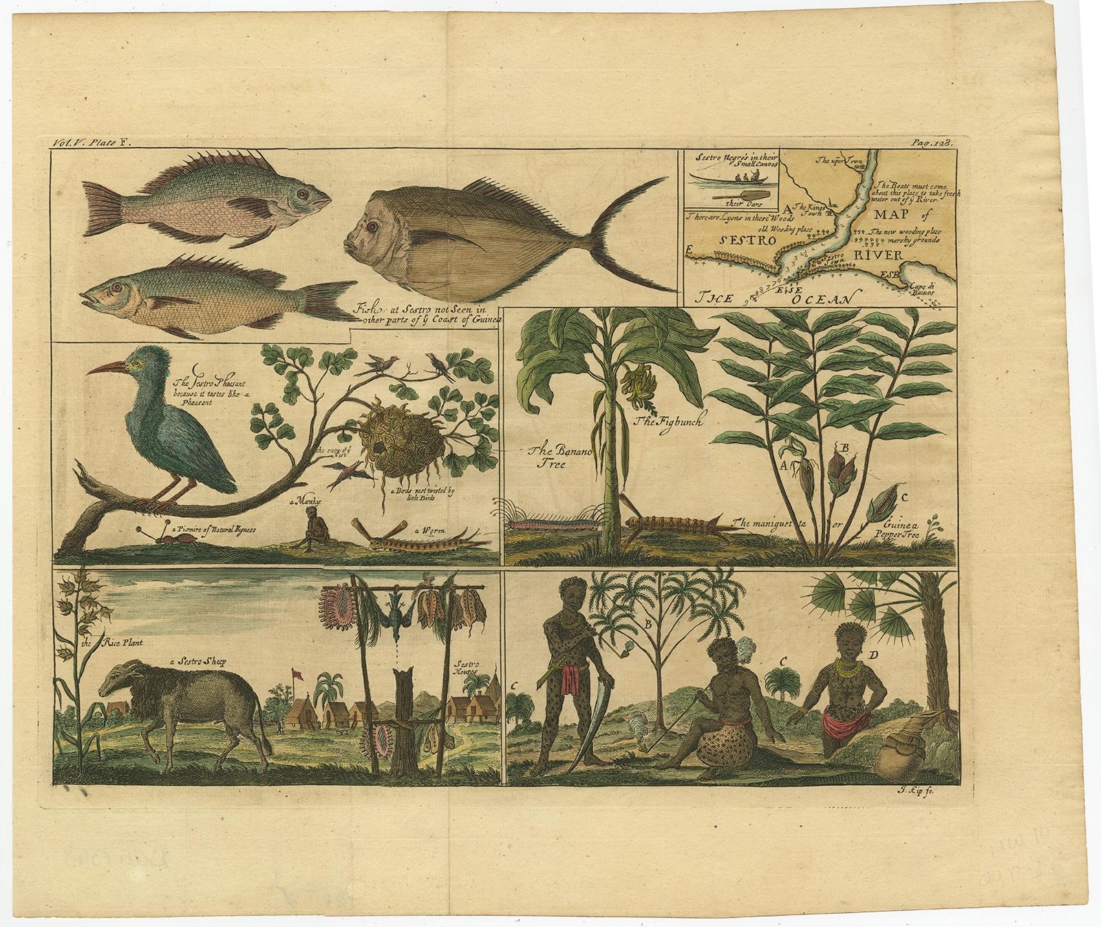 Description: Antique print, titled: 'A map of Sestro River (…).' - This plate shows Fish, birds, animals and people in the area around the Sestro River, Liberia. Inset; a small map of the mouth of the river. From: 