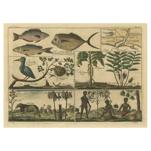 Rare Antique Engraving of Life Near The Sestro River, Liberia in Africa, 1744