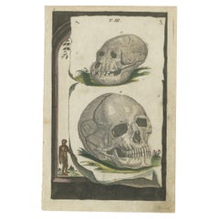 Rare imprimé ancien coloré à la main avec deux crânes