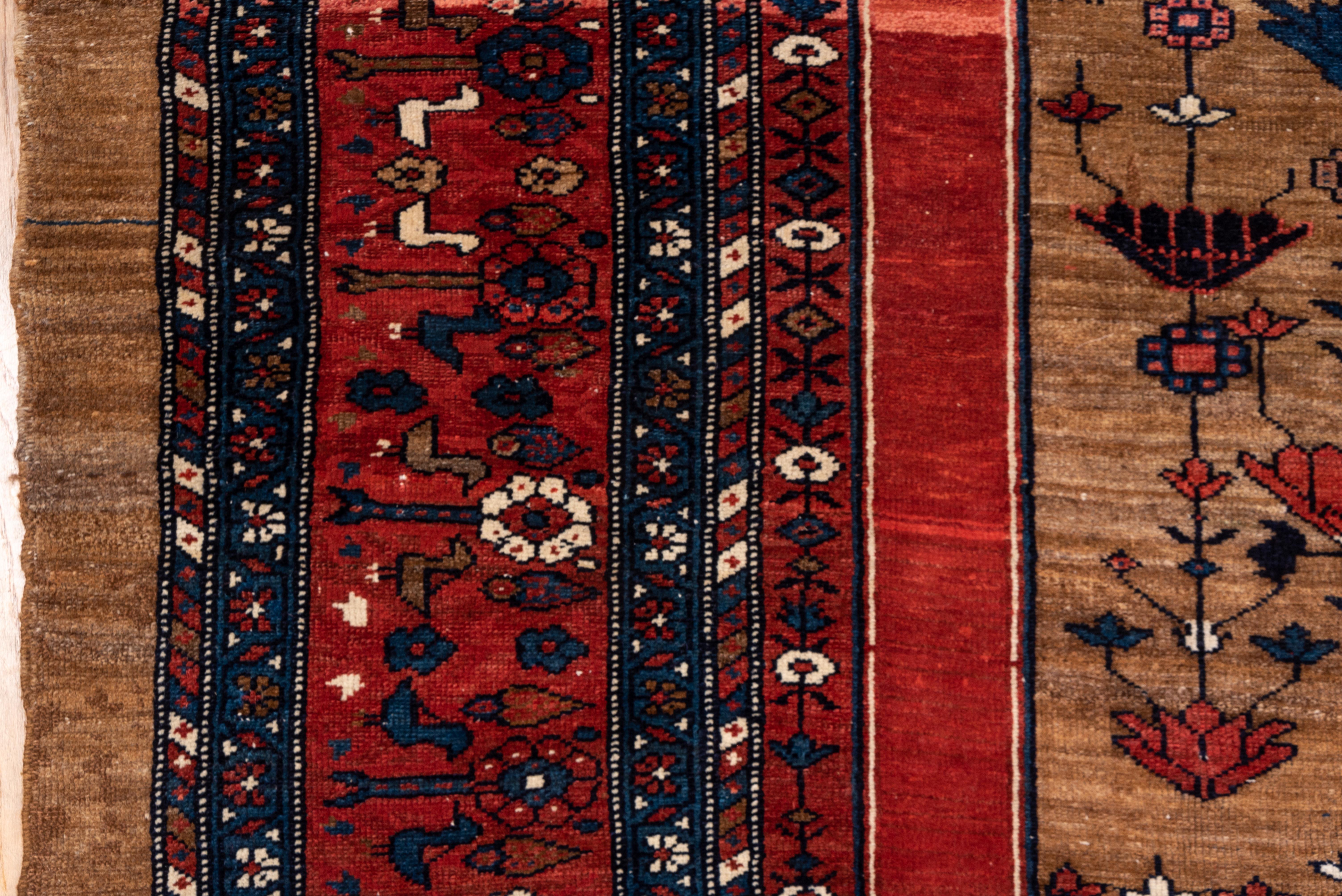 Wool Rare Antique Heriz Bakhshayesh Carpet, Brown and Rich Red Field, B For Sale