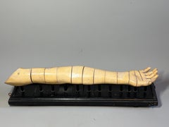Rare Antique Life-Size Anatomical Model of a Human Arm, Papier-Mâché, circa 1900