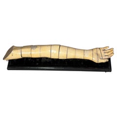 Rare Antique Life-Size Anatomical Model of a Human Arm, Papier-Mâché, circa 1900