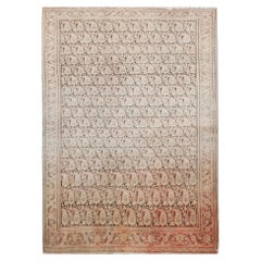 Rare Antique Rugs Malayer Traditional Blush Pink Rug Wool Paisley Pattern Carpet