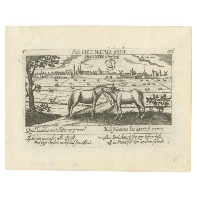Antique print titled 'Franicker in Friesland, Academia' View of the city of Franeker, Friesland, the Netherlands. Edition: 1678. This delicate engraving originates from 'Thesauri Philo-Politici' / 'Thesaurus Philopoliticus' / 'Politisches