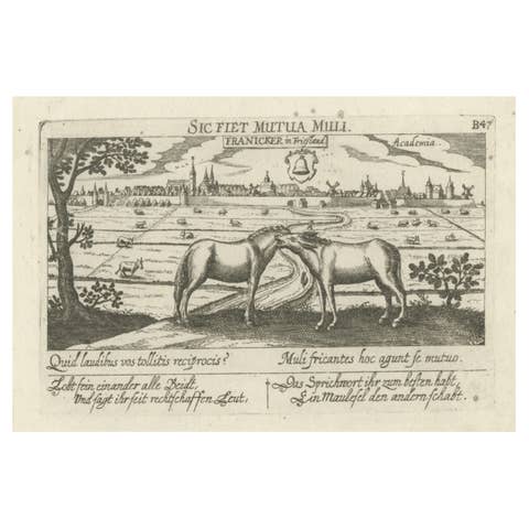 Rare Antique Print of the University City of Franeker, the Netherlands, 1678