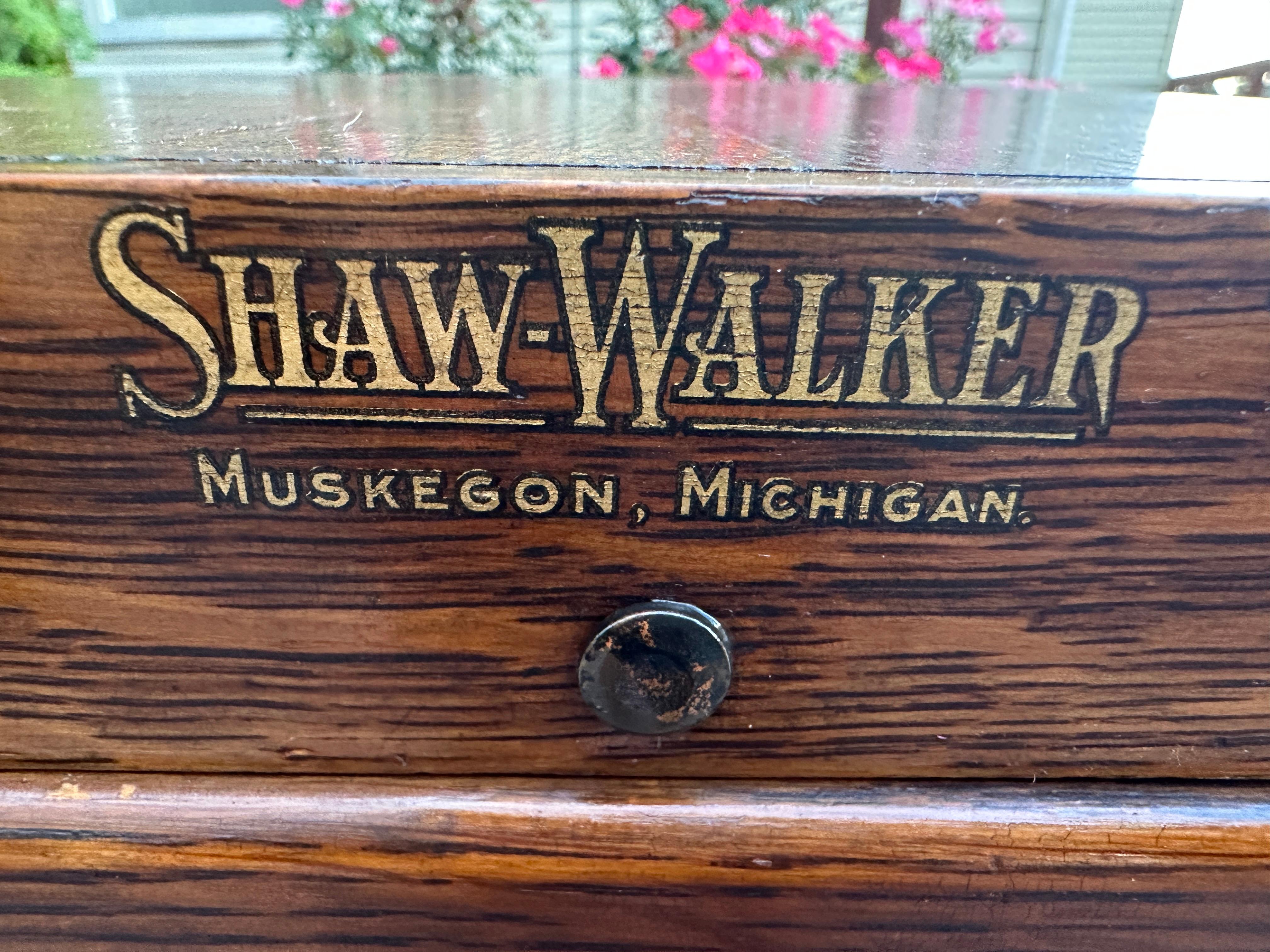 Seltene Antiquitäten   SHAW WALKER   Aktenschrank in voller Größe - W5003            VERKAUF  20% im Angebot 8