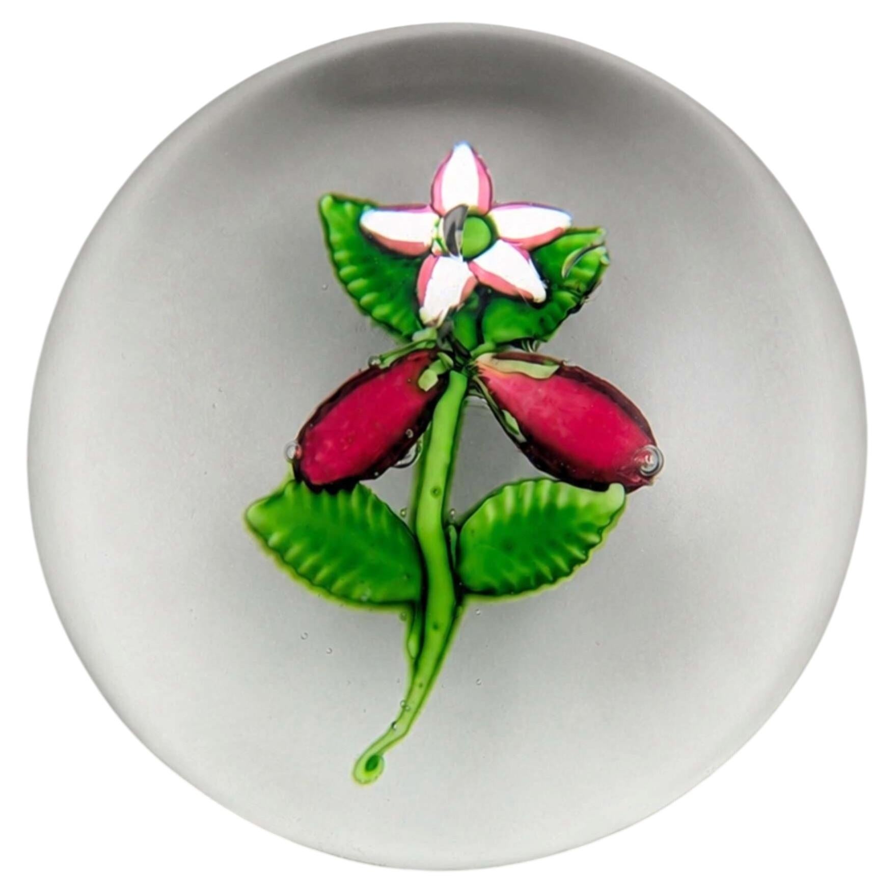 Seltener antiker Blumen-Briefbeschwerer aus Lampwork-Glas aus St. Louis, ca. 1850