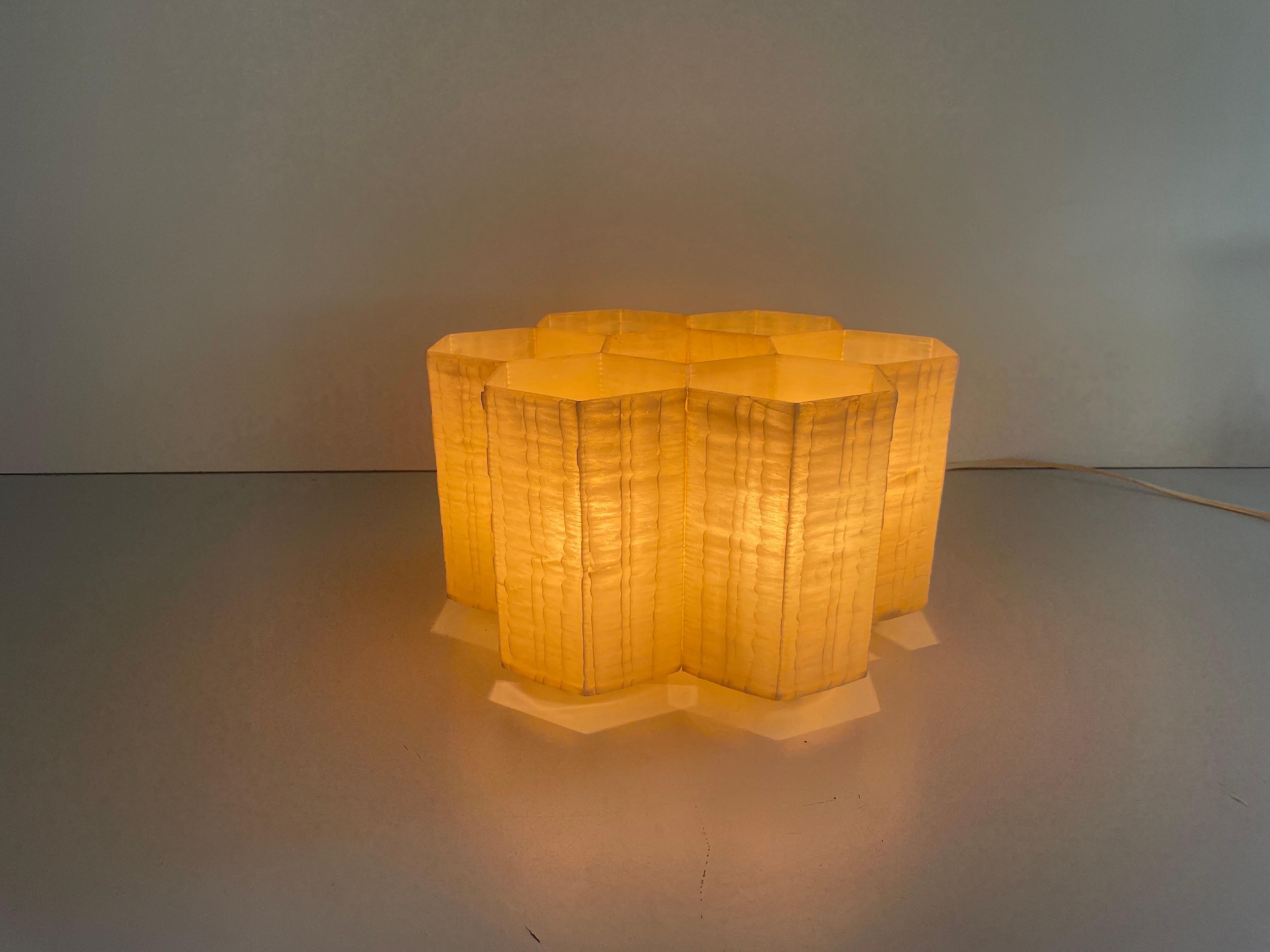 Rare Bee Honeycomb Design Fiberglass Flush Mount Light, 1960s, Allemagne en vente 9