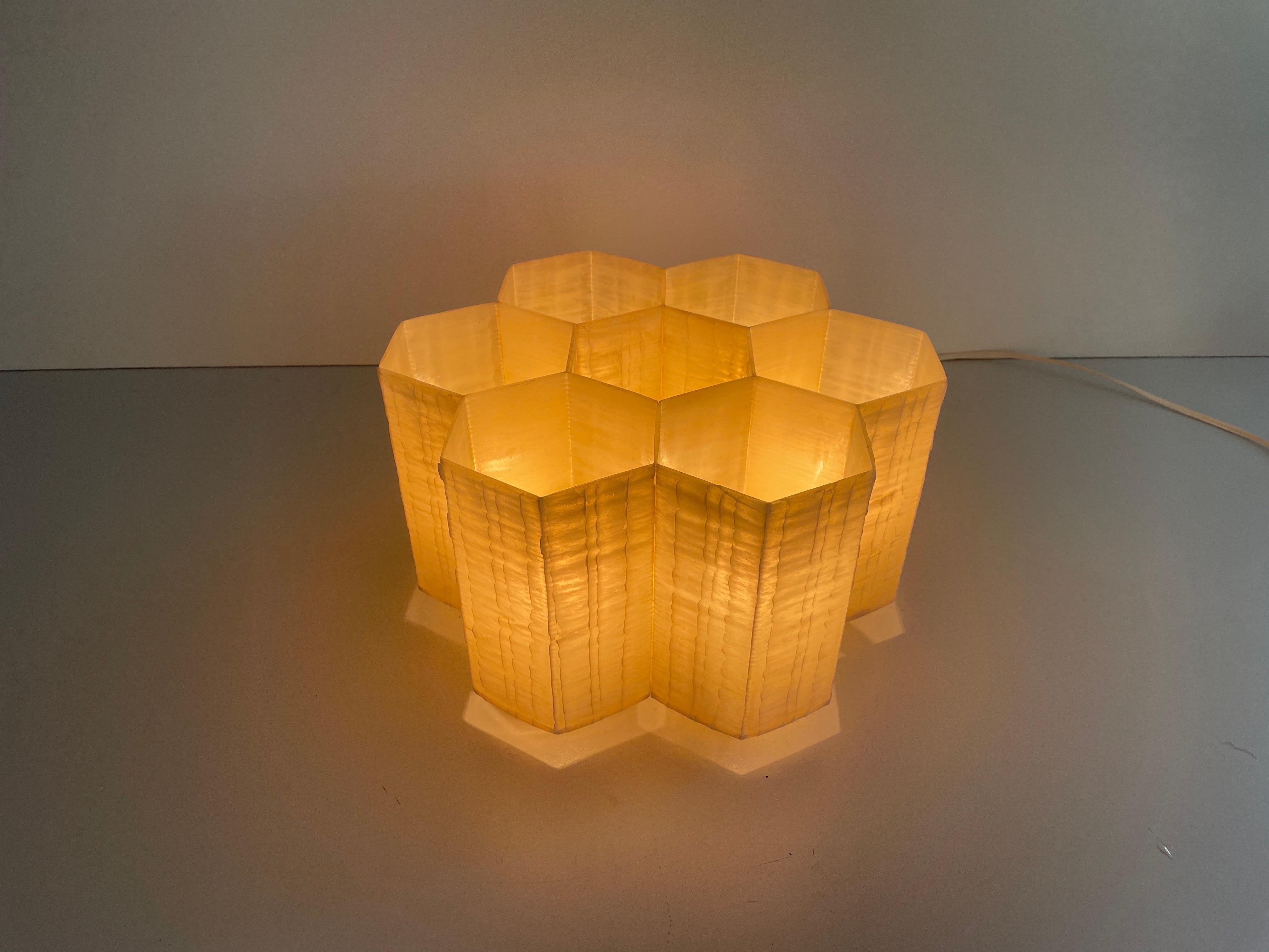 Rare Bee Honeycomb Design Fiberglass Flush Mount Light, 1960s, Allemagne en vente 12