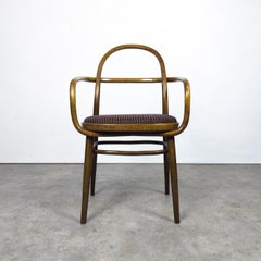 Rara poltrona in legno curvato di Radomír Hofman per TON, 1967