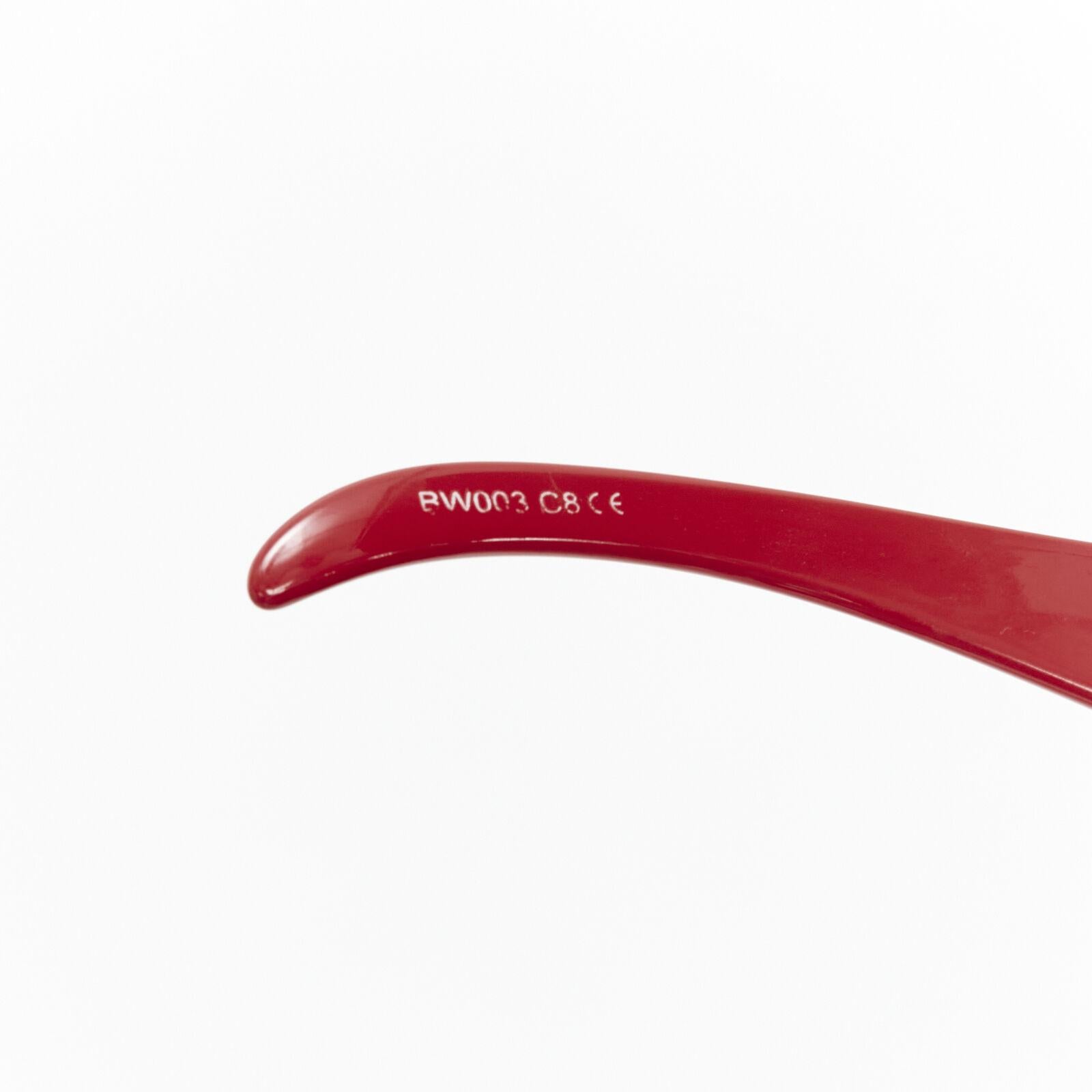 rare BERNARD WILLHELM LINDA FARROW PW003 red mould nose masked sunglasses For Sale 4