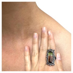 Rare Bi-Color Tourmaline with Diamonds Paradizia Ring