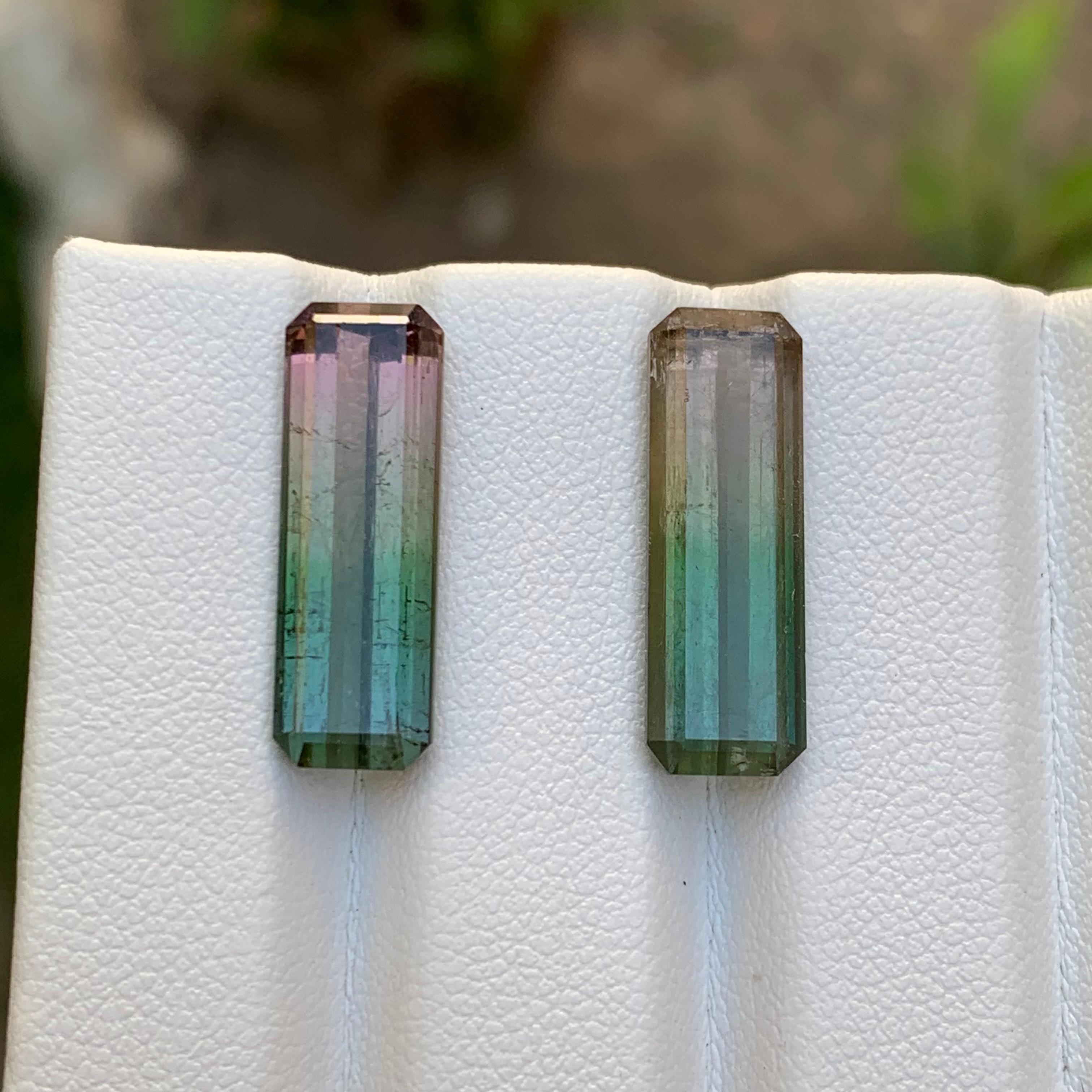Paire de tourmalines naturelles bicolores rares, taille émeraude 14,70 carats pour boucles d'oreilles en vente 5