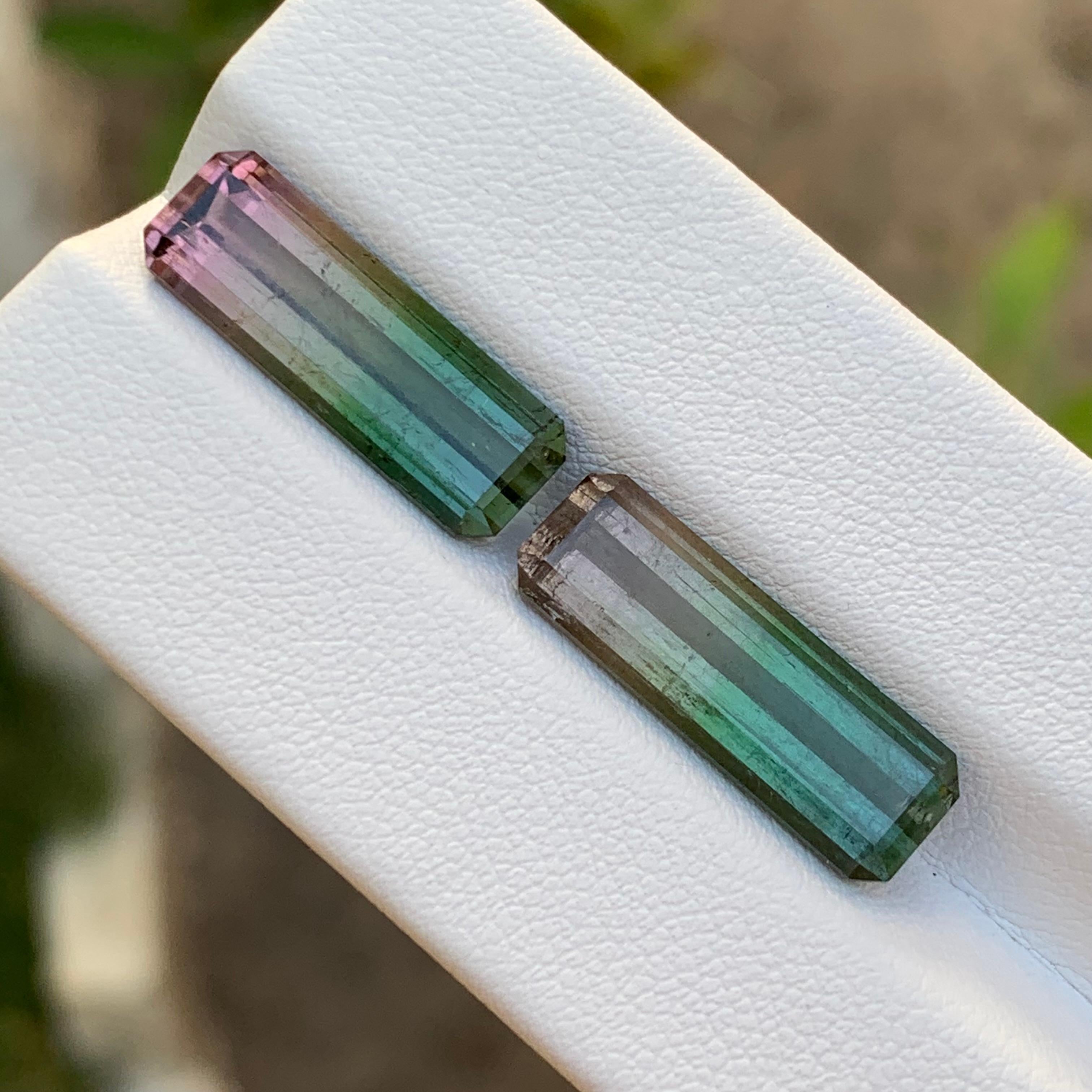Paire de tourmalines naturelles bicolores rares, taille émeraude 14,70 carats pour boucles d'oreilles en vente 6