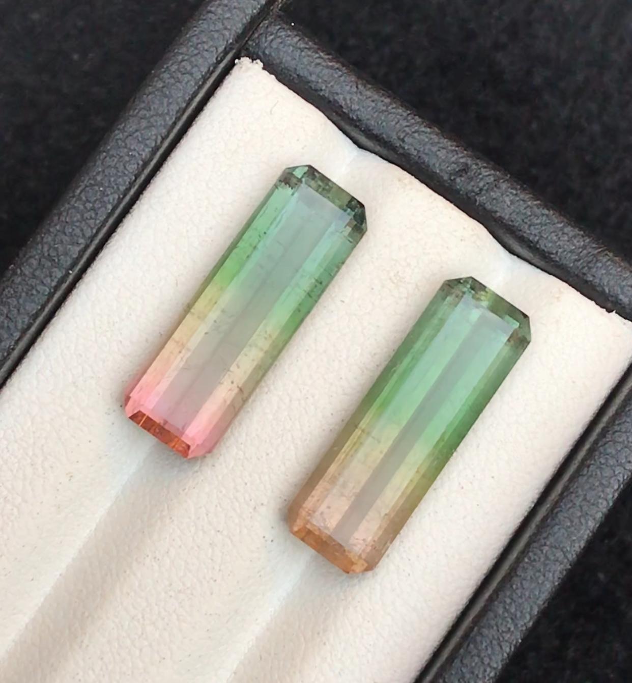 Paire de tourmalines naturelles bicolores rares, taille émeraude 14,70 carats pour boucles d'oreilles en vente 8