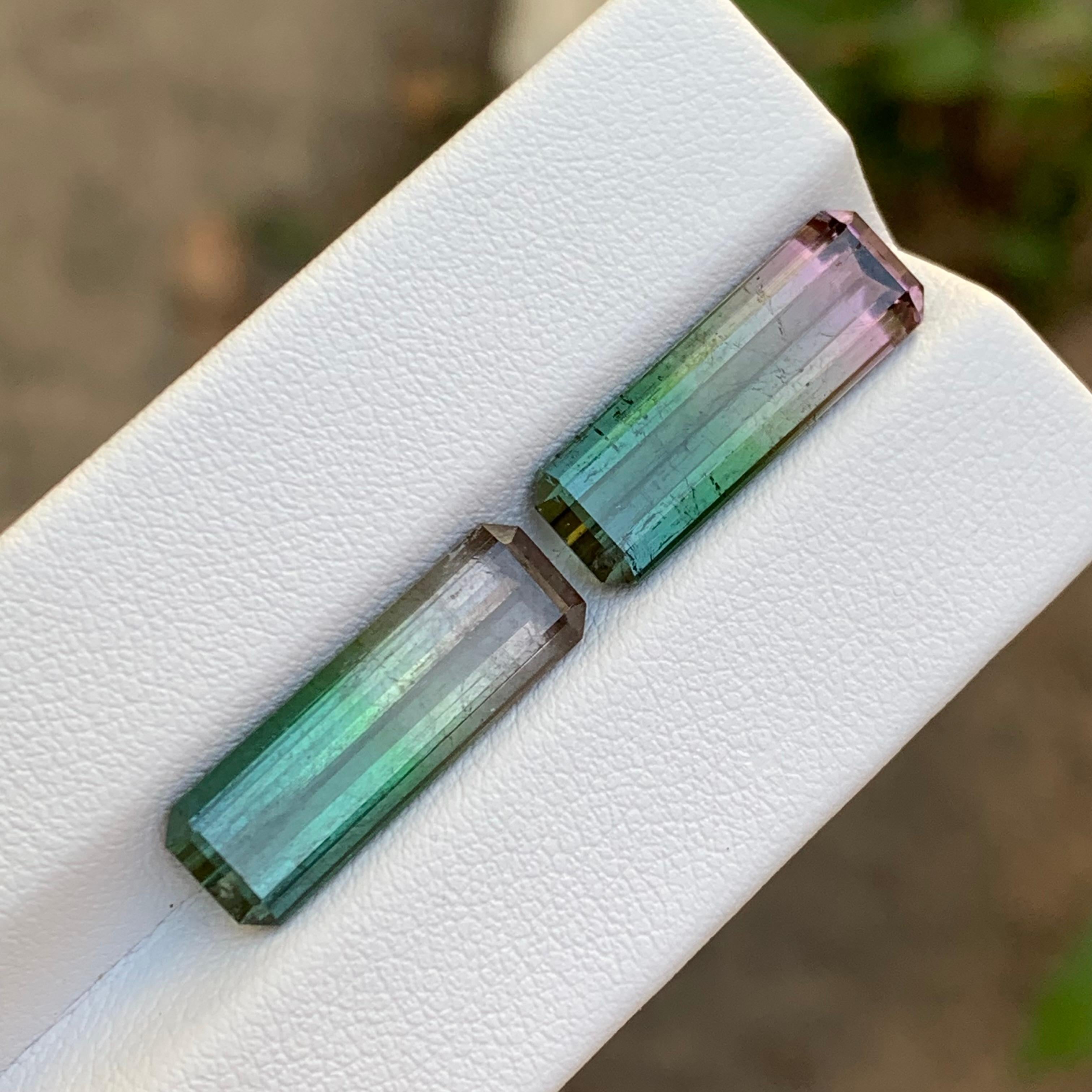 Paire de tourmalines naturelles bicolores rares, taille émeraude 14,70 carats pour boucles d'oreilles Neuf - En vente à Peshawar, PK