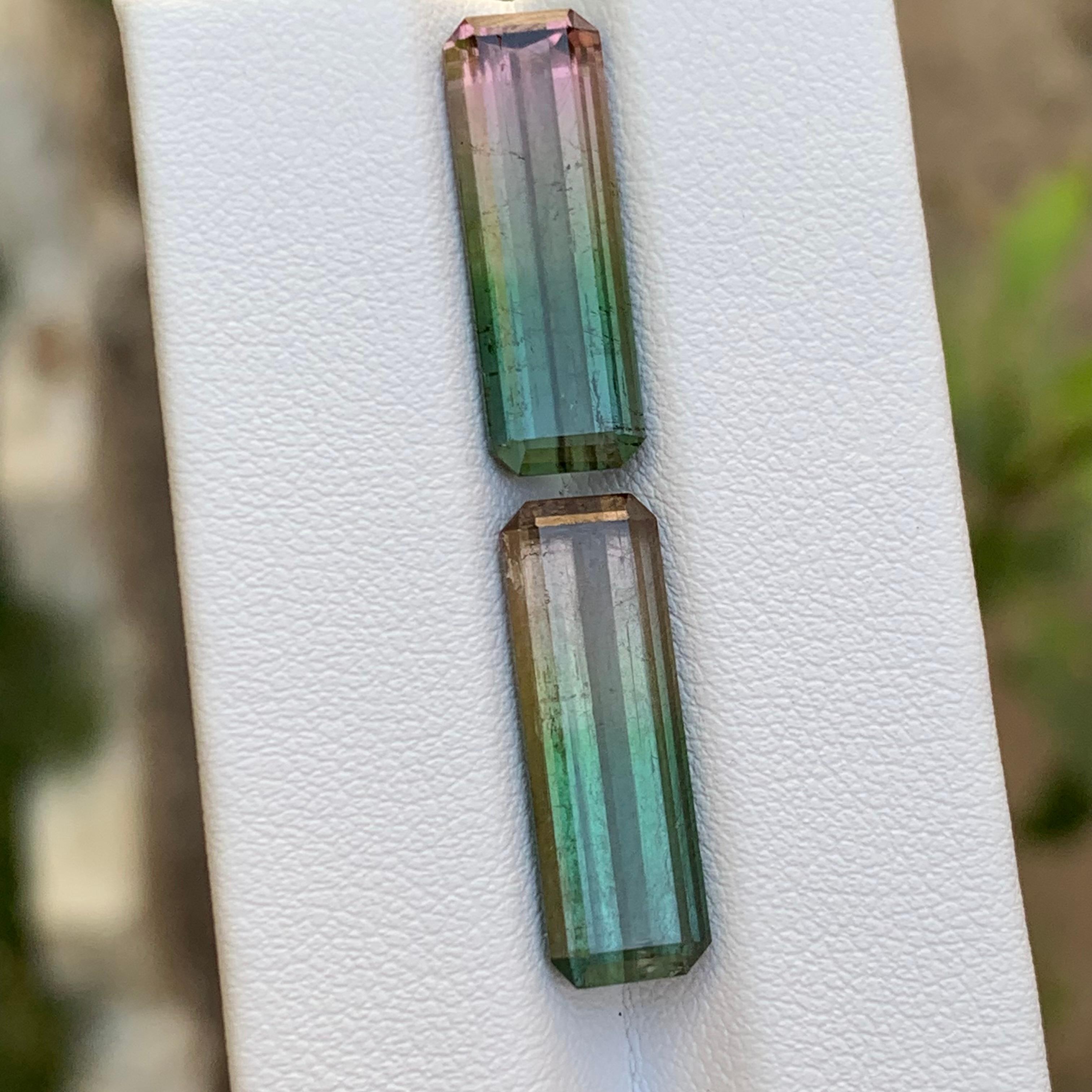 Paire de tourmalines naturelles bicolores rares, taille émeraude 14,70 carats pour boucles d'oreilles en vente 2
