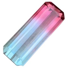 Rare Bicolor Natural Tourmaline Necklace Pendant Loose Gemstone 15Ct Emerald Cut
