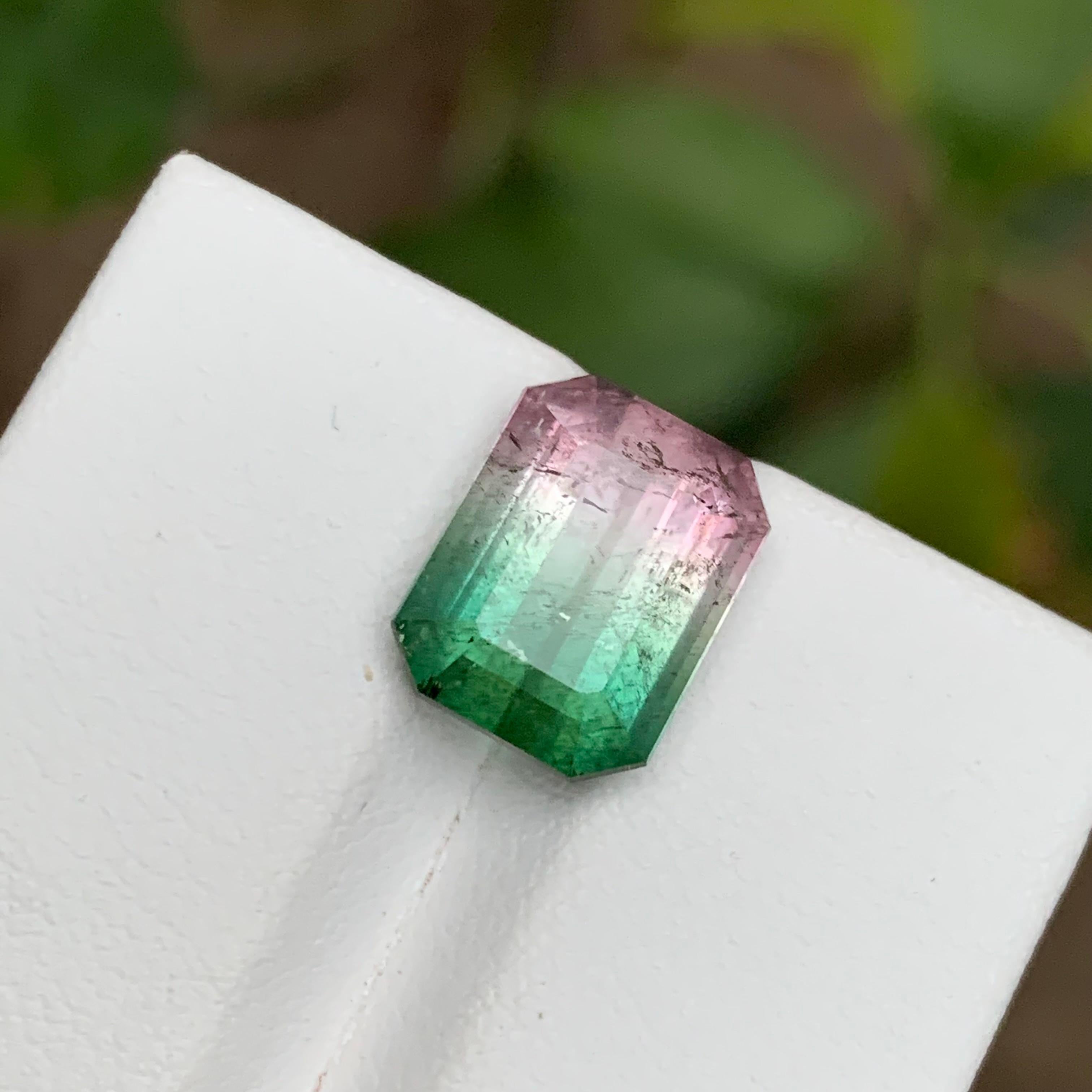 GEMSTONE TYPE: Tourmaline
PIECE(S): 1
WEIGHT: 5.90 Carat
SHAPE: Square Cushion 
SIZE (MM): 11.62 x 8.96 x 6.57 
COLOR: Watermelon Bicolor
CLARITY: Slightly Included
TREATMENT: Heated
ORIGIN: Afghanistan
CERTIFICATE: On demand

A very impressive 5.90