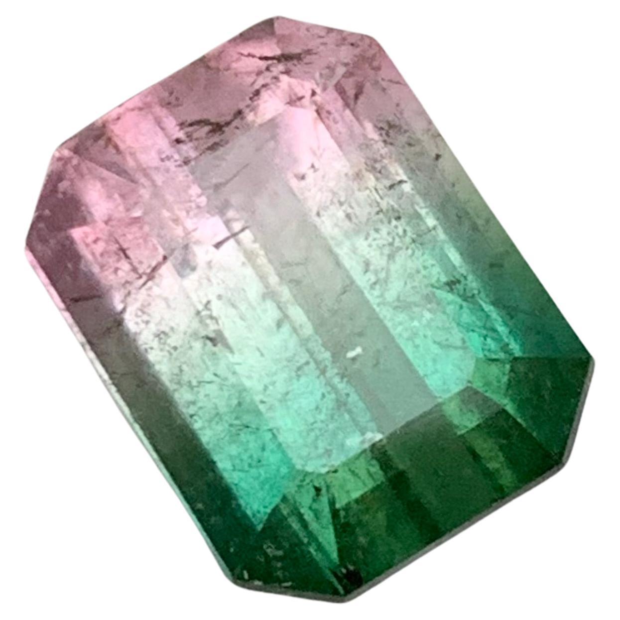 Rare Bicolor Watermelon Bluish Green & Pink Tourmaline Gemstone 5.90 Ct for Ring For Sale