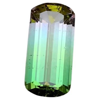 GEMSTONE TYPE: Tourmaline
PIECE(S): 1
WEIGHT: 3.05 Carat
SHAPE: Emerald Cut with modified corners
SIZE (MM): 12.47 x 5.97 x 4.65
COLOR: Watermelon Bicolor Green & Pink
CLARITY: Slightly Included
TREATMENT: Heated
ORIGIN: Afghanistan
CERTIFICATE: On
