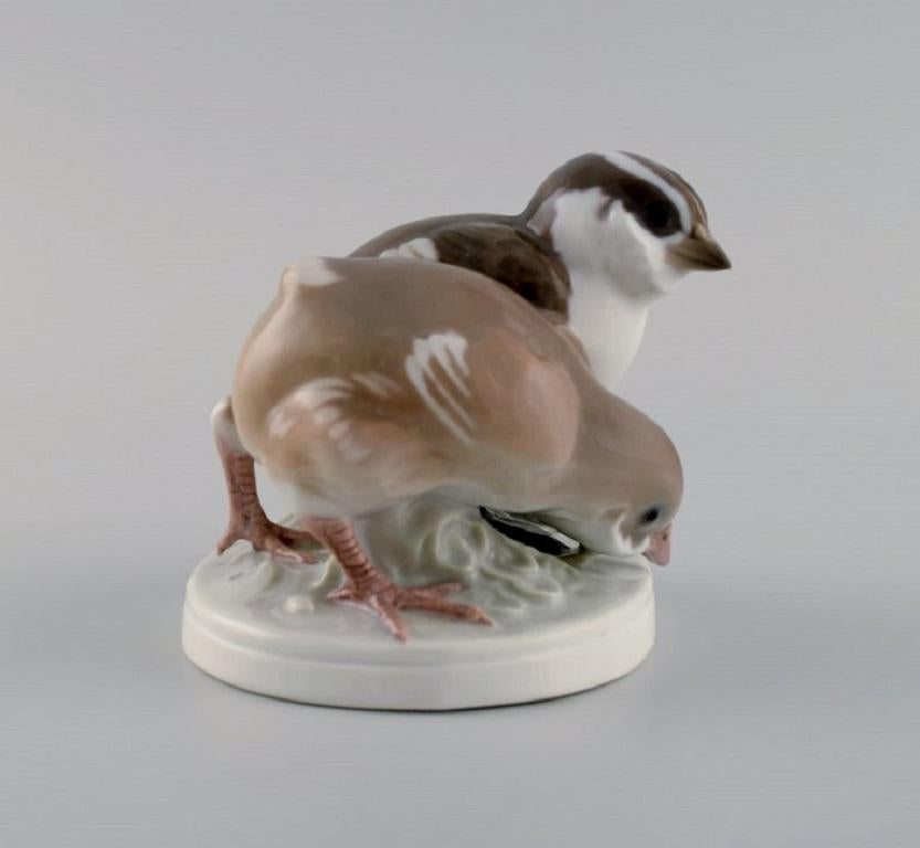 Rara figura in porcellana di Bing & Grøndahl. Due uccelli. Numero di modello 1778. 
Inizio del XX secolo.
Misure: 10 x 9 cm.
In ottime condizioni.
Timbrato.
Prima qualità di fabbrica.