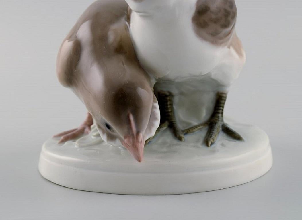 20th Century Rare Bing & Grøndahl Porcelain Figure, Two Birds, Model Number 1778 For Sale