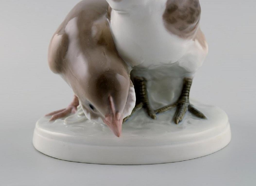 XX secolo Rara figura in porcellana di Bing & Grøndahl, Due uccelli, Model No. 1778 in vendita