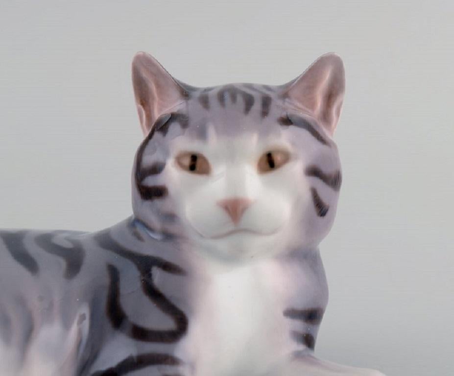 Seltene Bing & Grndahl-Porzellanfigur, sterbende Katze, Modellnummer 2236 im Angebot 1