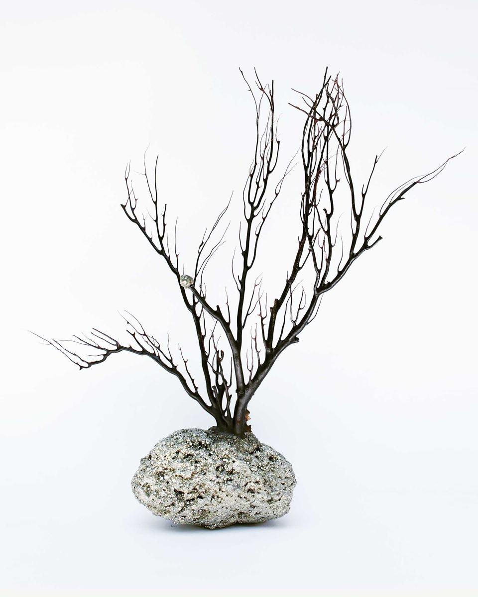 Organic Modern Rare Black Coral Tree with Pyrite For Sale