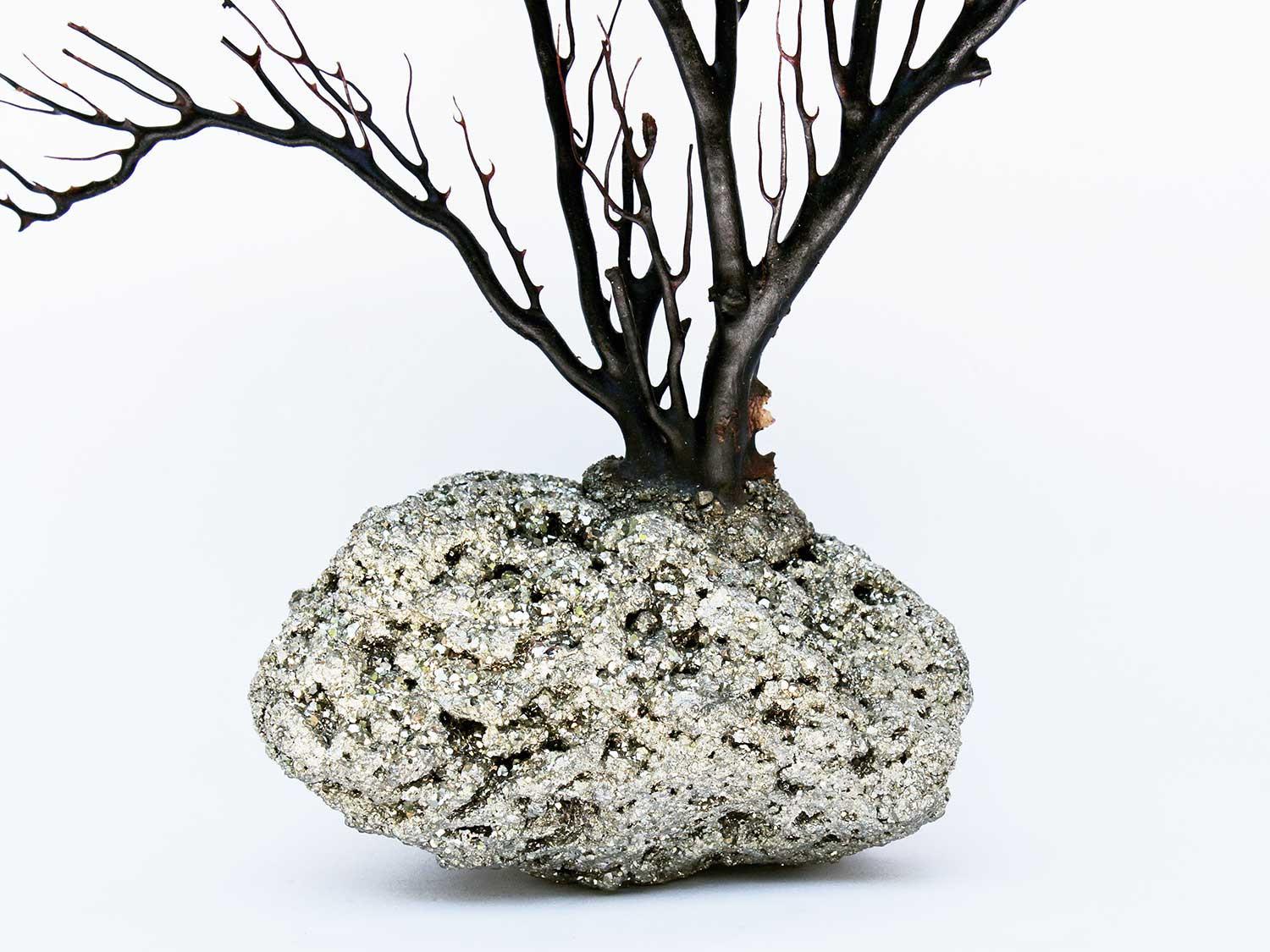 American Rare Black Coral Tree with Pyrite For Sale