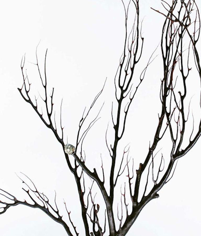 Hand-Crafted Rare Black Coral Tree with Pyrite For Sale