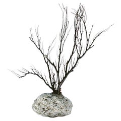 Rare Black Coral Tree with Pyrite