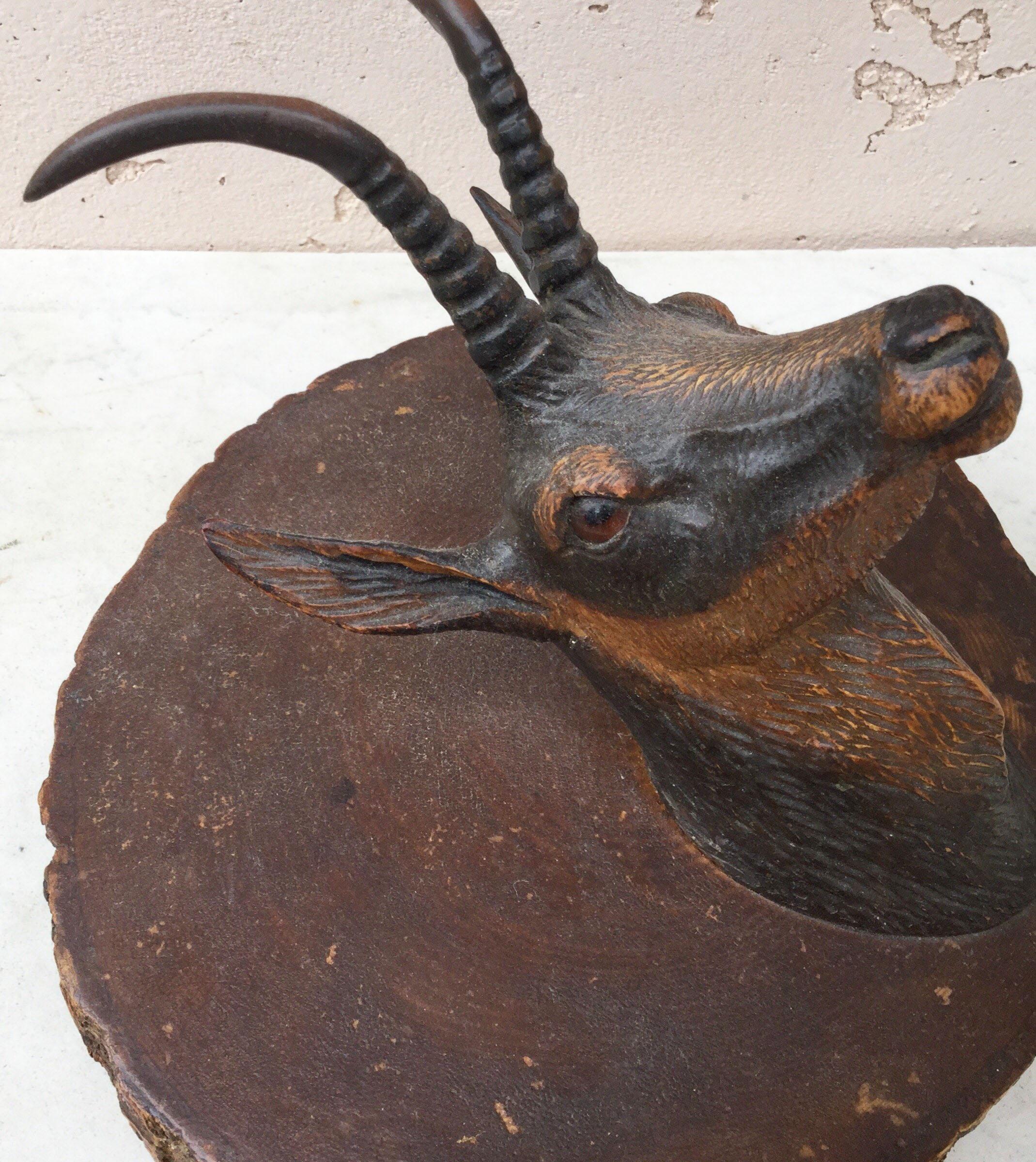 Rare and unusual Black Forest box in the shape of wood log with a large wood carved Alpine ibex or bouquetin, circa 1890.
The carved bouquetin is 5