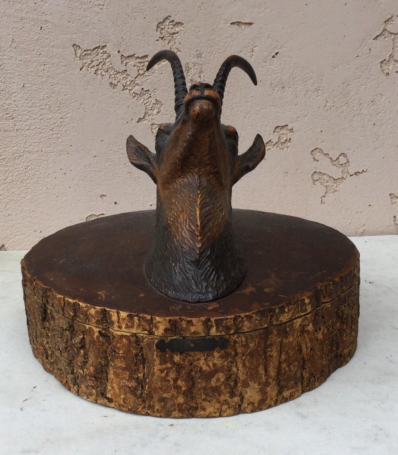 French Rare Black Forest Alpine Ibex Wood Box, circa 1890 For Sale