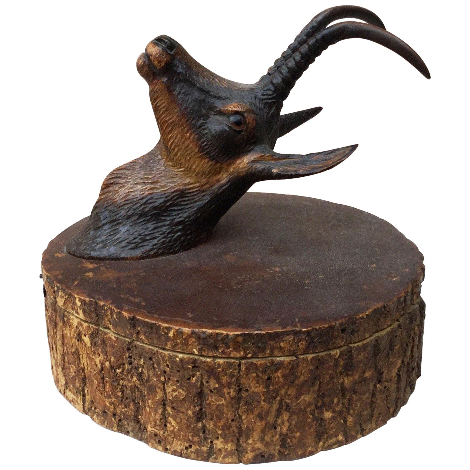 Rara caja de madera de íbice alpino de Black Forest, hacia 1890