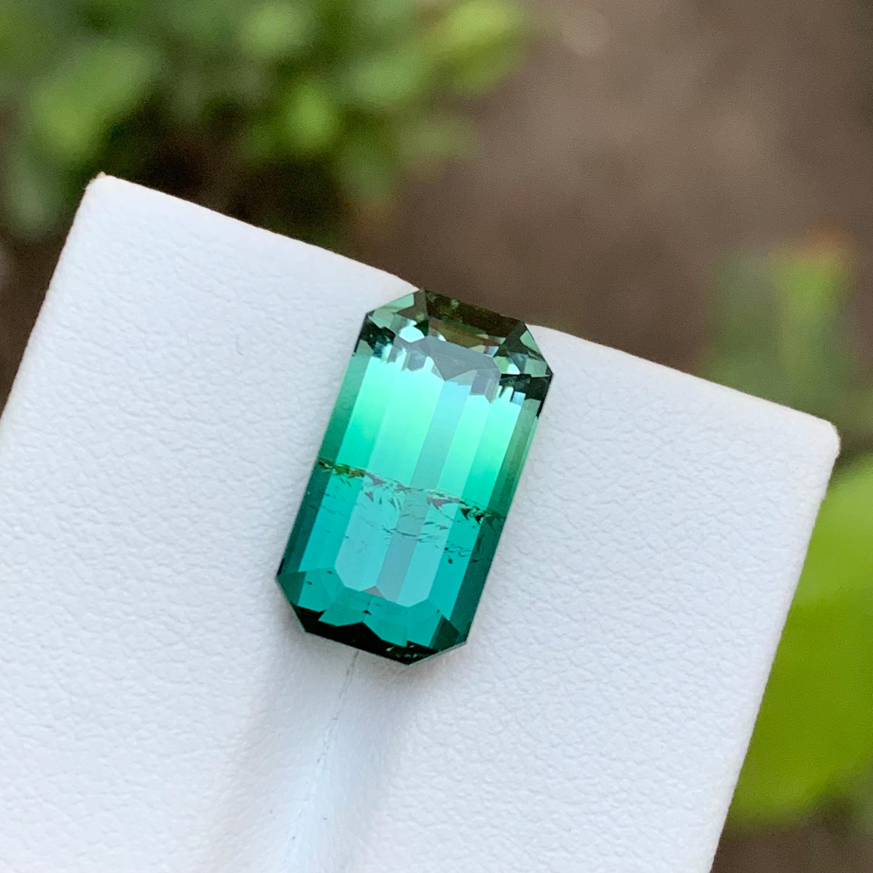 Bague tourmaline bicolore vert bleuté et vert clair, taille émeraude 9,20 carats en vente 6