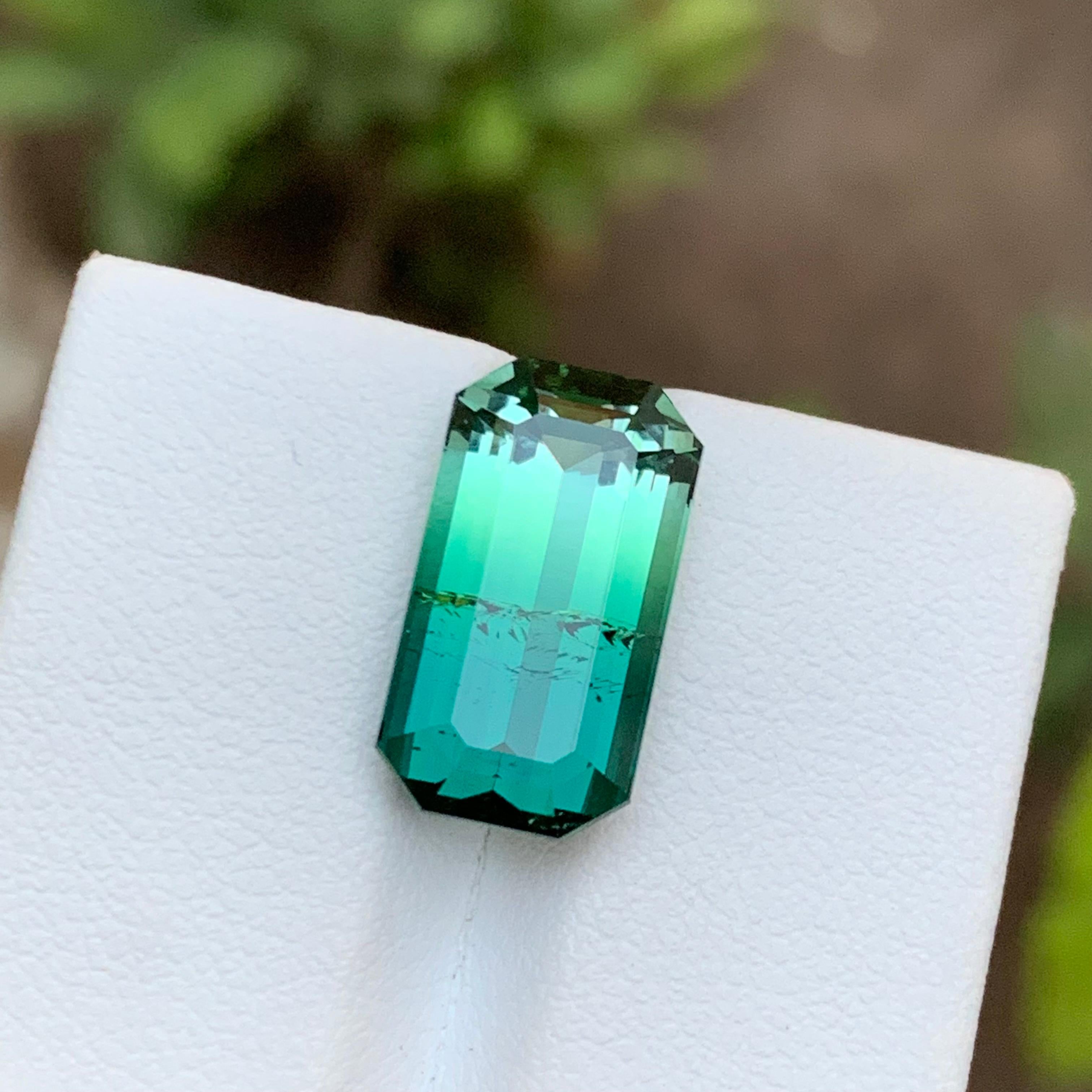 Bague tourmaline bicolore vert bleuté et vert clair, taille émeraude 9,20 carats en vente 7